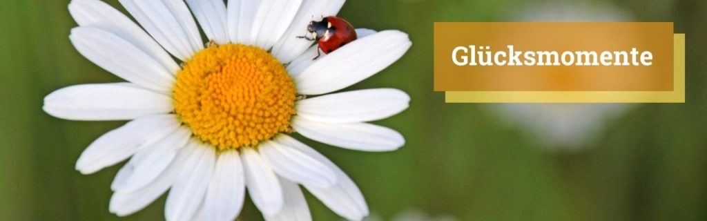 Glücksmomente - Lebensfreude-Blog - Lebensfreude-Academy