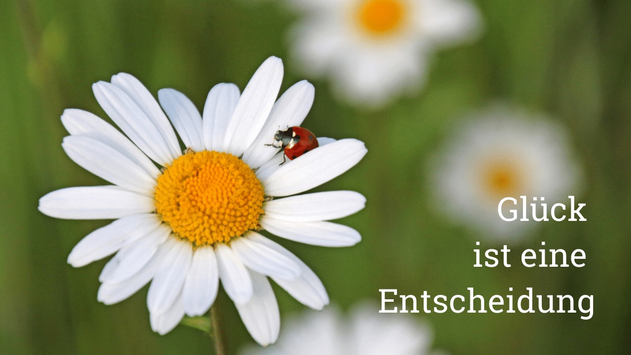 Glück ist eine Entscheidung LebensfreudeAcademy