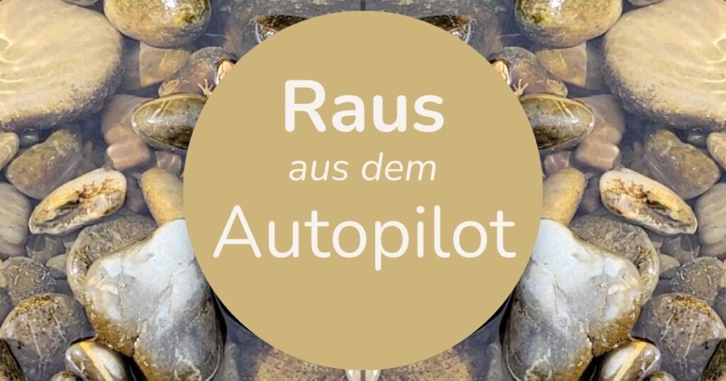 Glatte Kieselsteine im flachen Flussufer mit Schriftzug „Raus aus dem Autopilot“ auf rundem Hintergrund im Vordergrund