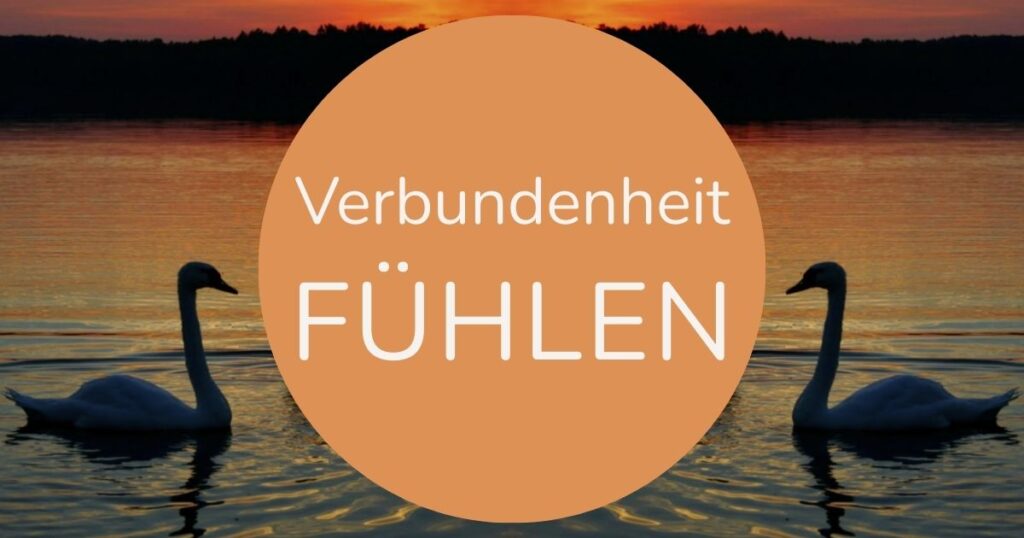 Zwei Schwäne auf dem Wasser, die sich einander zuwenden, mit dem Schriftzug „Verbundenheit fühlen“ in der Bildmitte